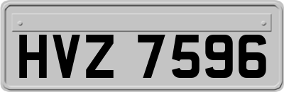 HVZ7596