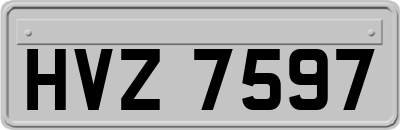HVZ7597