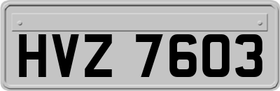 HVZ7603