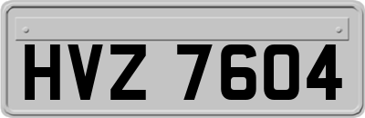 HVZ7604