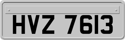 HVZ7613