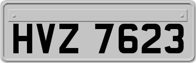 HVZ7623