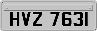 HVZ7631