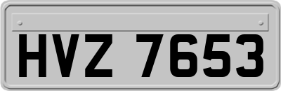 HVZ7653