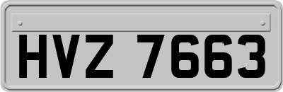 HVZ7663