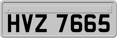 HVZ7665