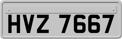 HVZ7667