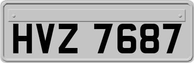 HVZ7687