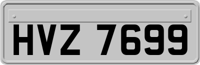 HVZ7699