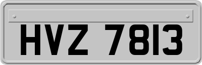 HVZ7813
