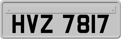 HVZ7817
