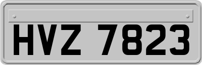 HVZ7823