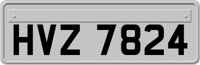 HVZ7824
