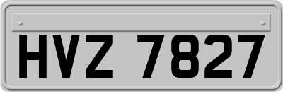 HVZ7827