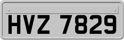 HVZ7829