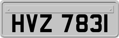 HVZ7831