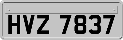 HVZ7837