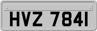 HVZ7841