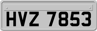 HVZ7853