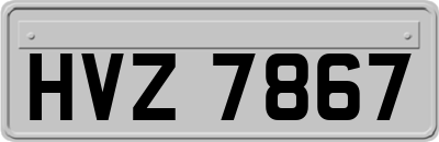 HVZ7867