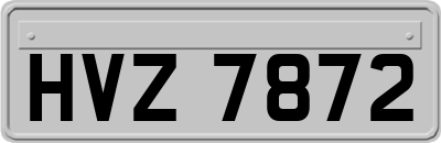 HVZ7872