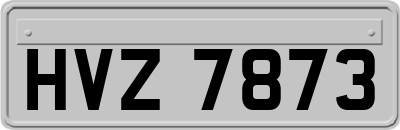 HVZ7873