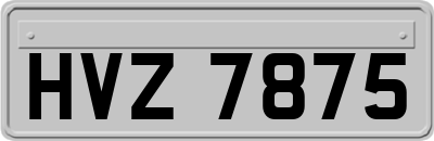 HVZ7875