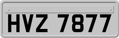 HVZ7877