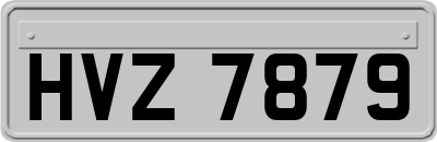 HVZ7879