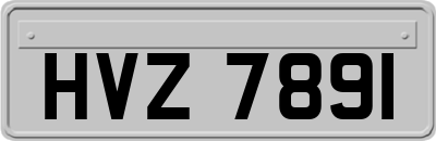 HVZ7891