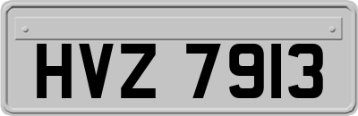 HVZ7913