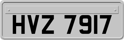 HVZ7917