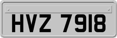 HVZ7918
