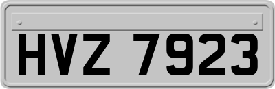 HVZ7923