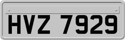 HVZ7929