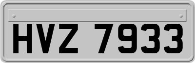 HVZ7933