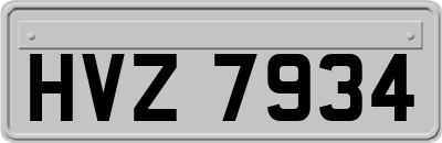 HVZ7934