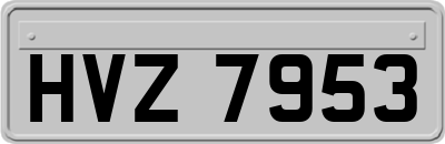 HVZ7953