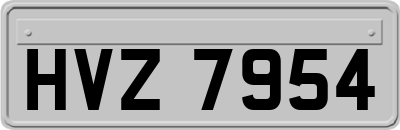 HVZ7954