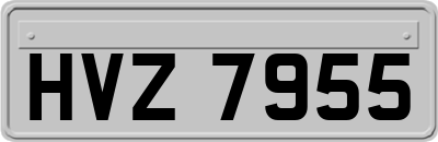 HVZ7955