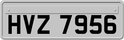 HVZ7956