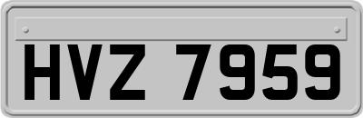 HVZ7959