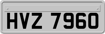 HVZ7960