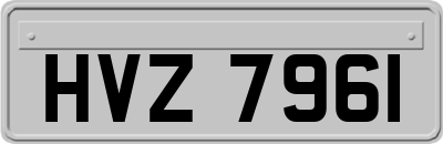 HVZ7961