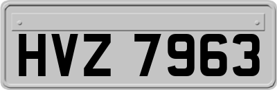 HVZ7963