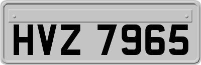 HVZ7965