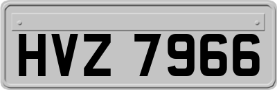 HVZ7966