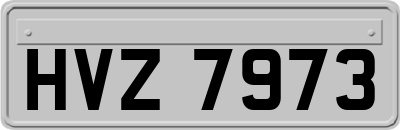HVZ7973