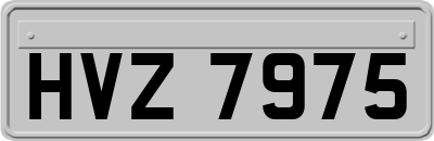 HVZ7975