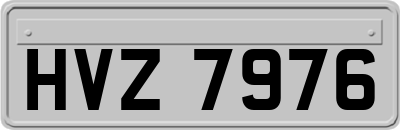 HVZ7976